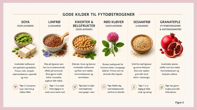 Mangfold i overgangsalderen: Mer enn hormoner